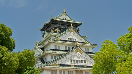  A743504